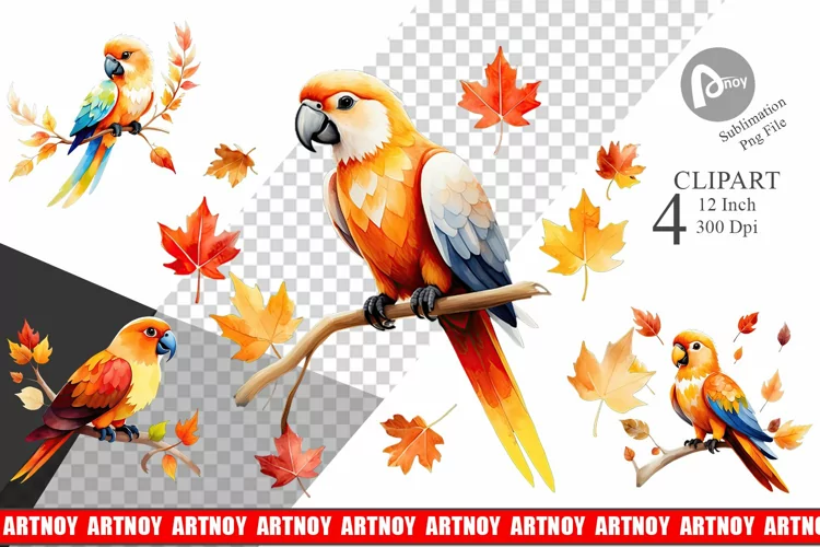 Autumn Parrot Watercolor Clipart