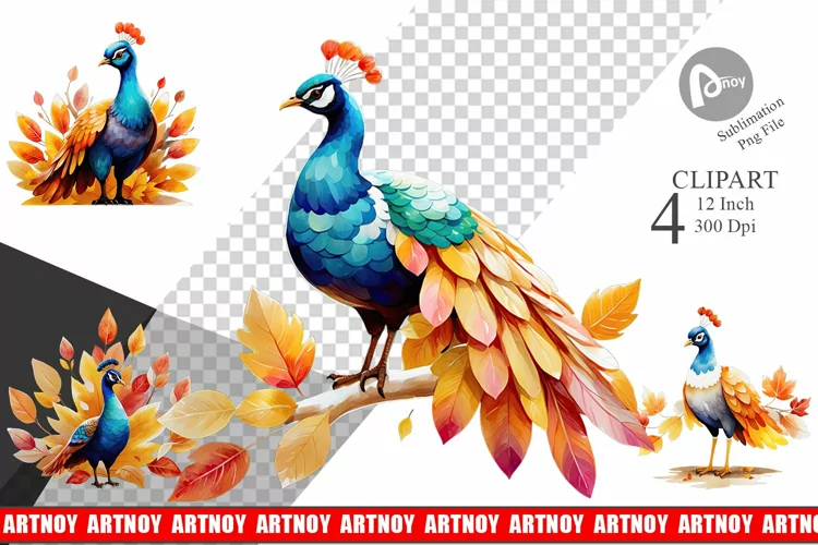 Autumn Peacock Watercolor Clipart