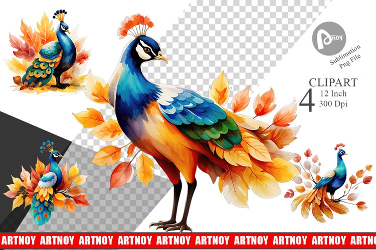 Autumn Peacock Watercolor Clipart