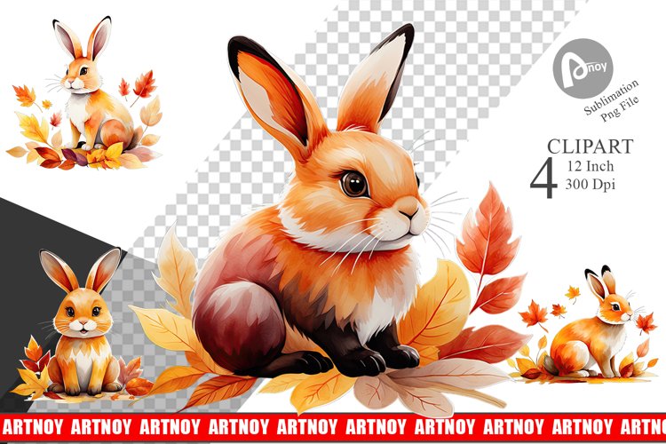 Rabbit Png