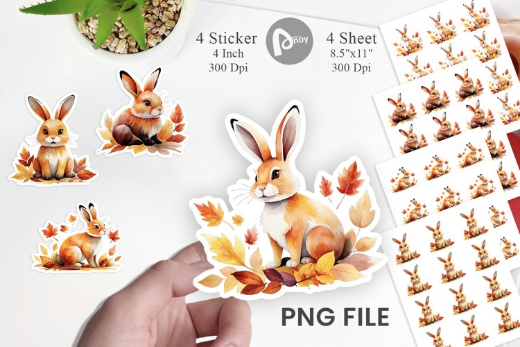 Rabbit Png Image 3