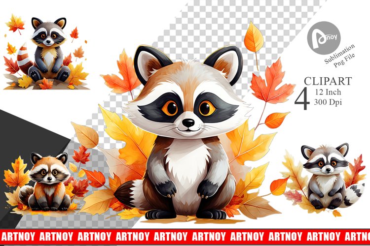 Raccoon Png Image 3