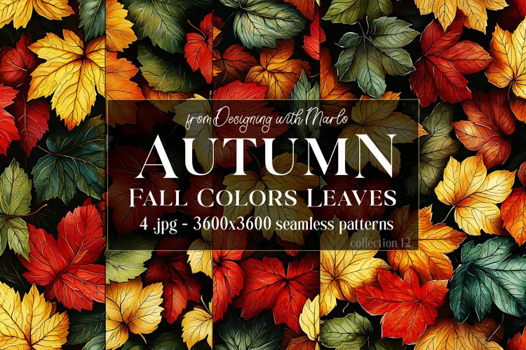 Autumn Patterns, Fall Season Patterns, Fall Colors Leaves 12