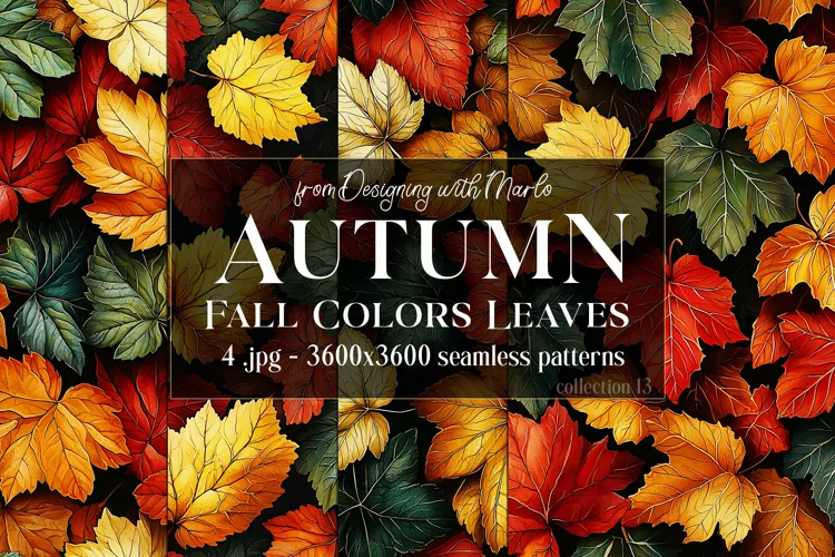 Autumn Patterns, Fall Season Patterns, Fall Colors Leaves 13