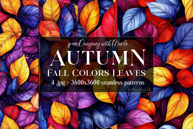 Autumn Patterns, Fall Season Patterns, Fall Colors Leaves 14