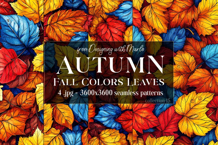 Autumn Patterns, Fall Season Patterns, Fall Colors Leaves 15