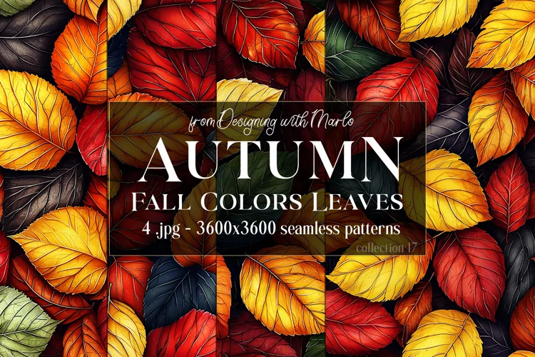 Autumn Patterns, Fall Season Patterns, Fall Colors Leaves 17