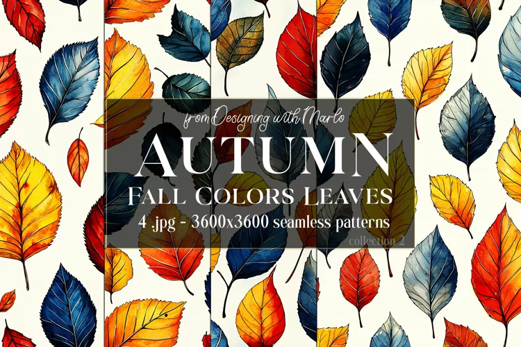 Autumn Patterns, Fall Season Patterns, Fall Colors Leaves s2