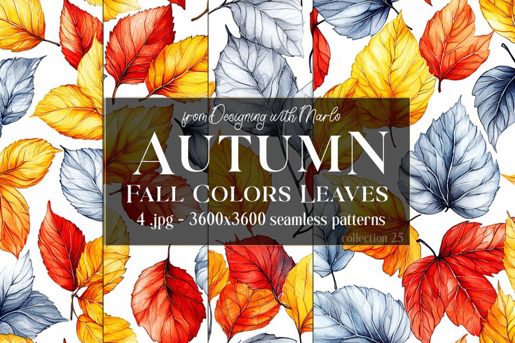 Autumn Patterns, Fall Season Patterns, Fall Colors Leaves 25