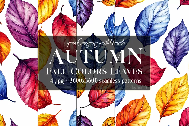 Autumn Patterns, Fall Season Patterns, Fall Colors Leaves s3