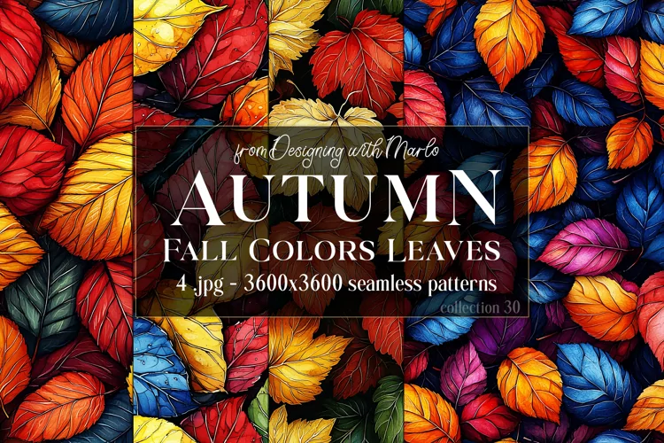 Autumn Patterns, Fall Season Patterns, Fall Colors Leaves 30