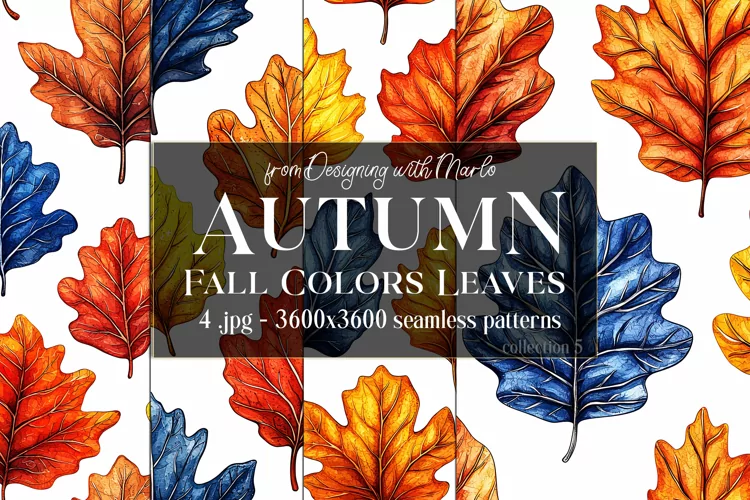 Autumn Patterns, Fall Season Patterns, Fall Colors Leaves s5