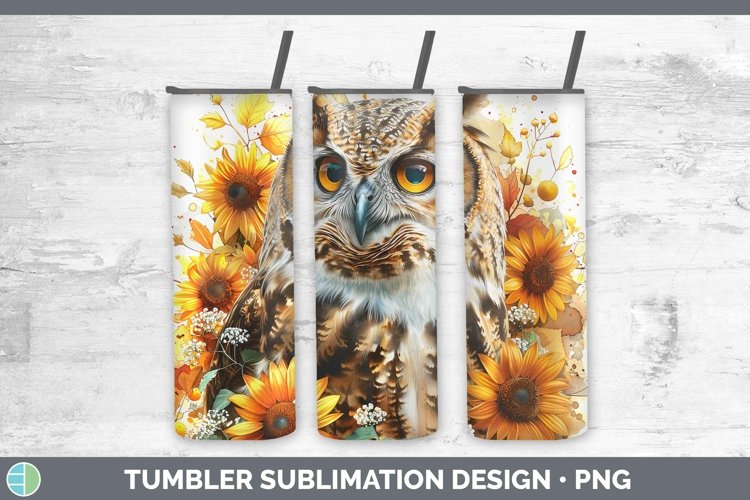 Owl Clipart Image 16