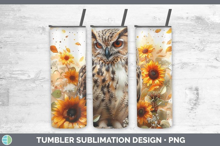 Owl Clipart Image 12