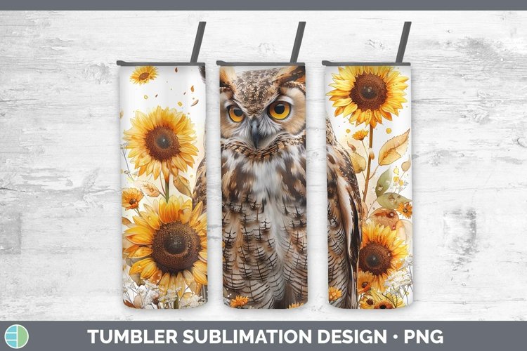 Owl Clipart Image 14
