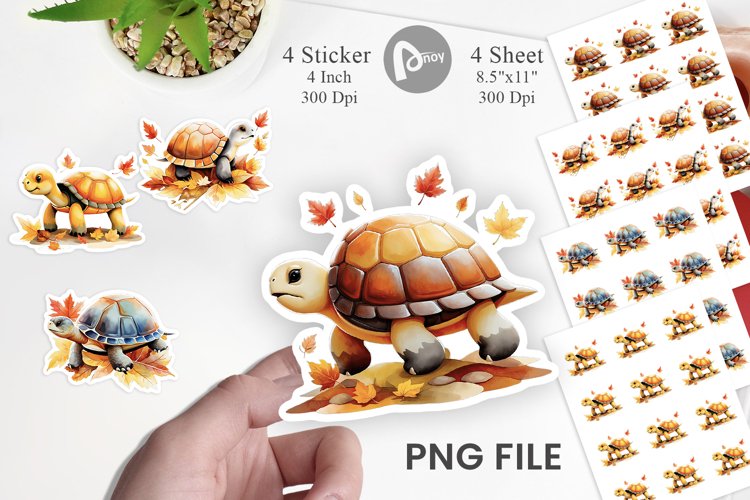 Turtle Png Image 7
