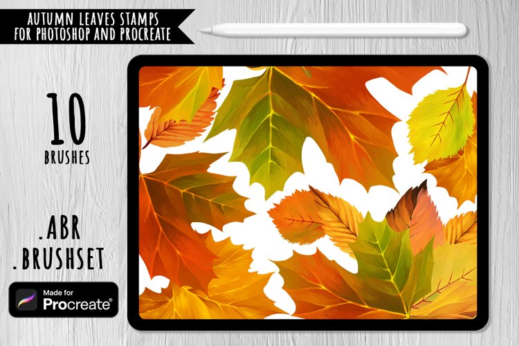 Autumn Leaves Brushes for Photoshop and Procreate example image 1