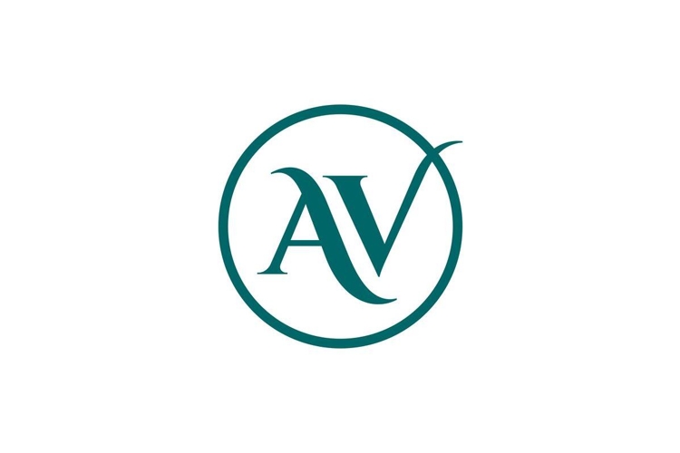 AV Logo Design example image 1