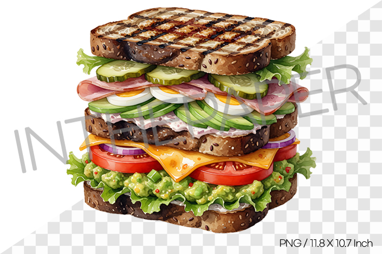 Avocado Sandwich Watercolor Clipart Illustration PNG