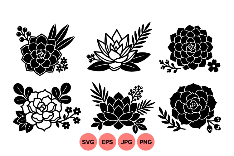 Succulent Clipart Image 15