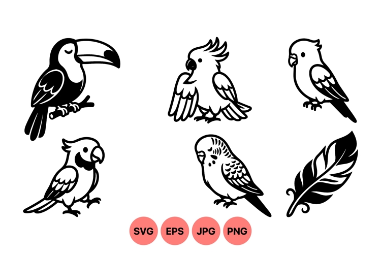 Vector Tropical Birds And Feather Silhouettes