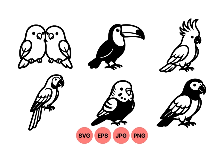 Bird Graphic Image 10