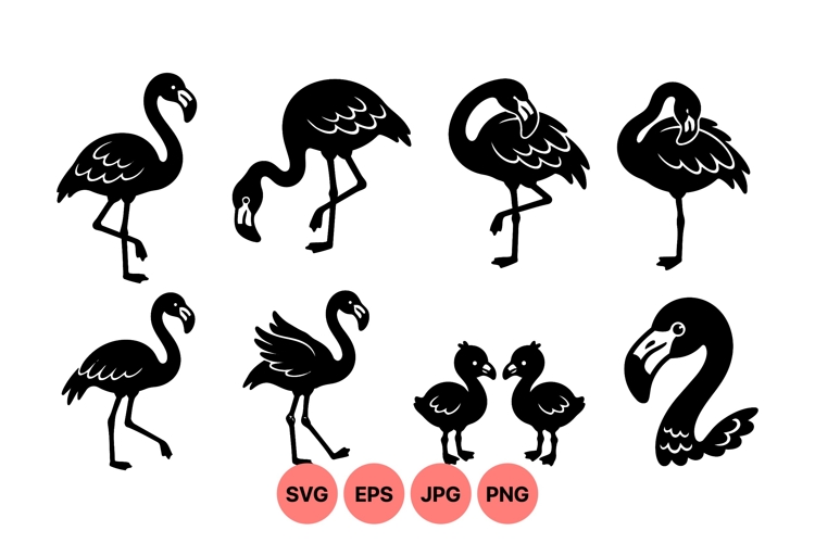 Flamingo Vector Image 14