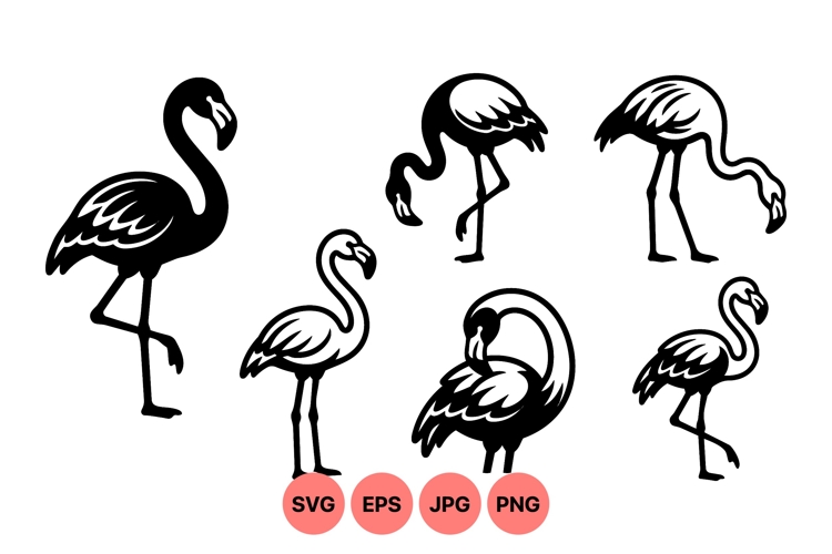 Flamingo Vector Image 13