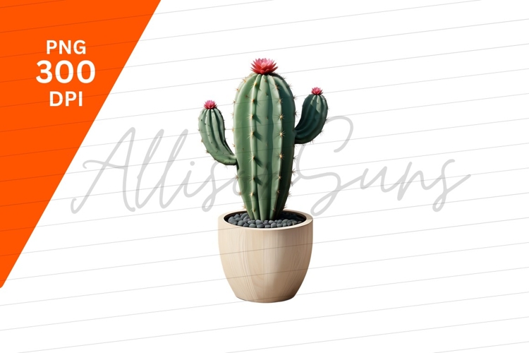 Cactus Clipart Image 6