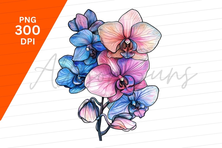 Orchid Illustration Image 19