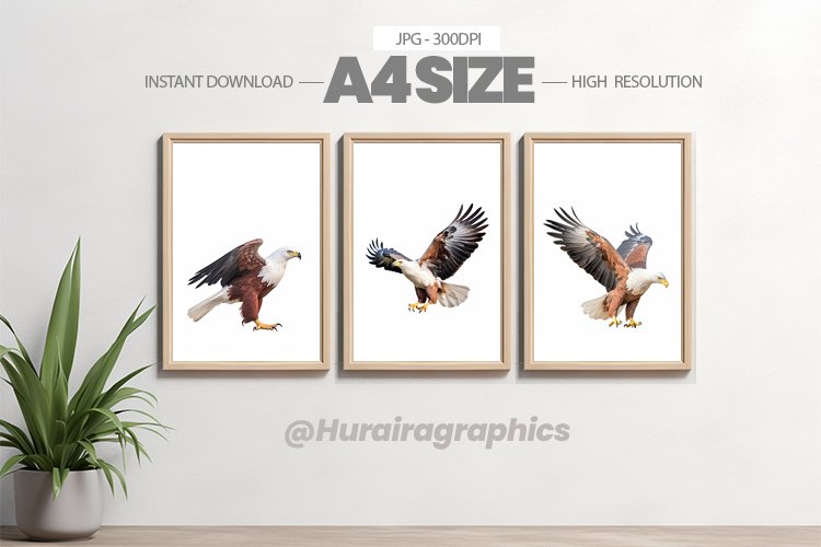 Bird Wall Art - 03 Variations example image 1