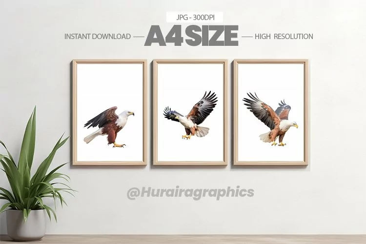 Bird Wall Art - 03 Variations