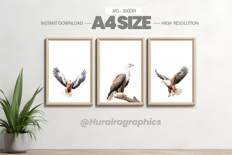 Bird Wall Art - 03 Variations