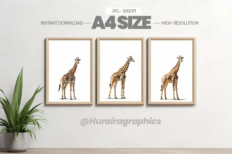 Safari Animal Wall Art - 03 Variations