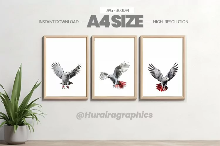 Animal Wall Art - 03 Variations