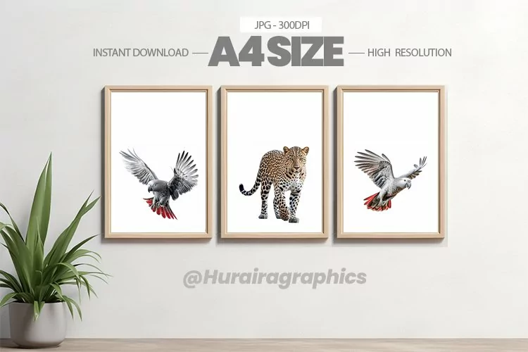 Animal Wall Art - 03 Variations