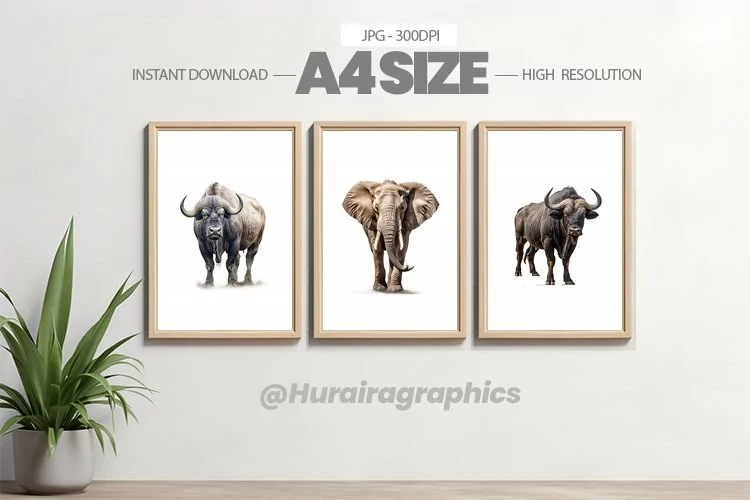 Safari Animal Wall Art - 03 Variations