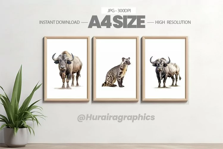 Safari Animal Wall Art - 03 Variations