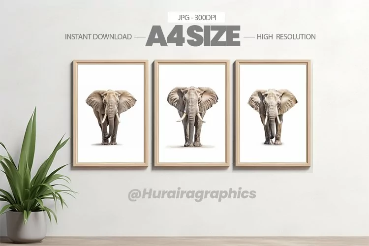 Safari Animal Wall Art - 03 Variations