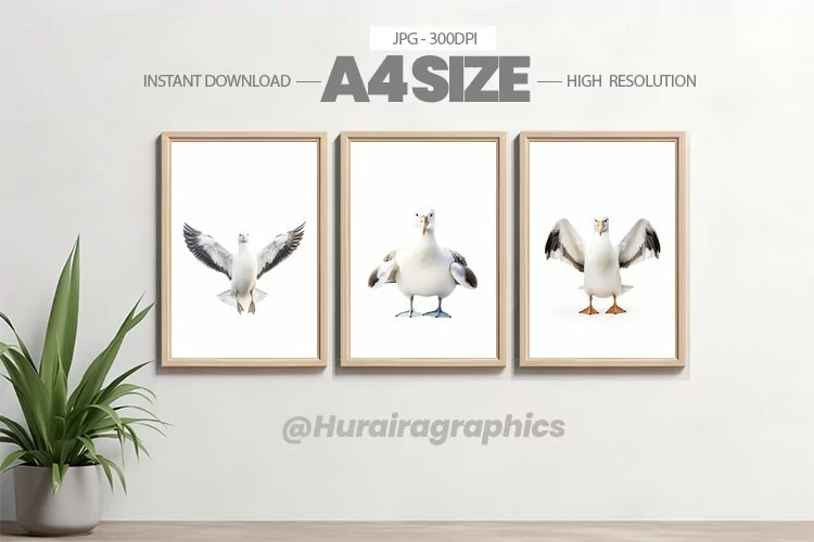Bird Wall Art - 03 Variations