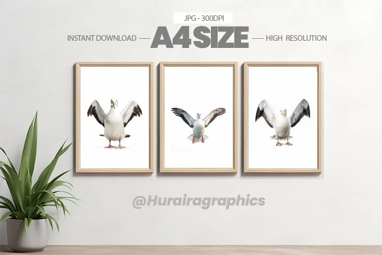 Bird Wall Art - 03 Variations