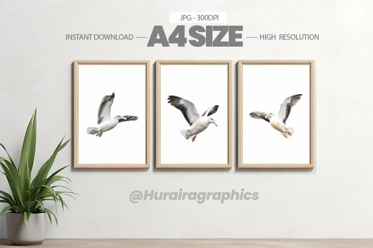 Bird Wall Art - 03 Variations