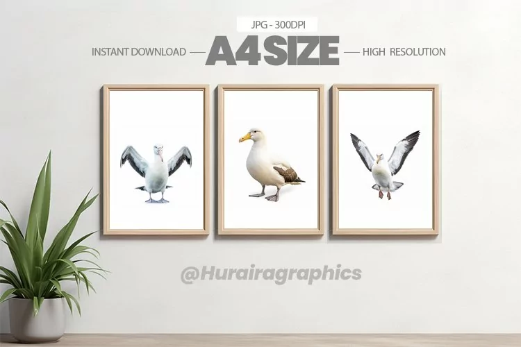 Bird Wall Art - 03 Variations