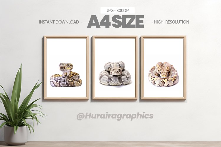 Safari Animal Wall Art - 03 Variations example image 1