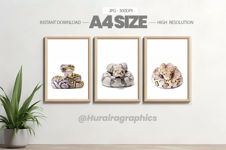 Safari Animal Wall Art - 03 Variations