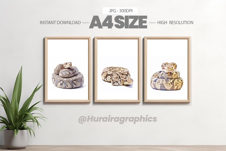 Safari Animal Wall Art - 03 Variations example image 1