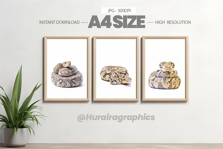 Safari Animal Wall Art - 03 Variations