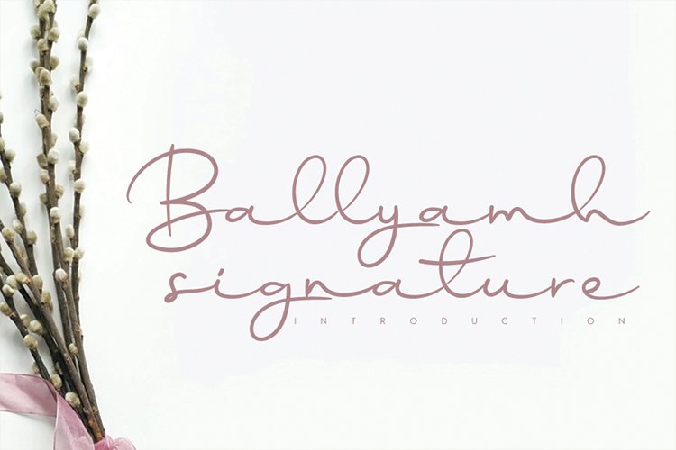Ballyamh signature example image 1