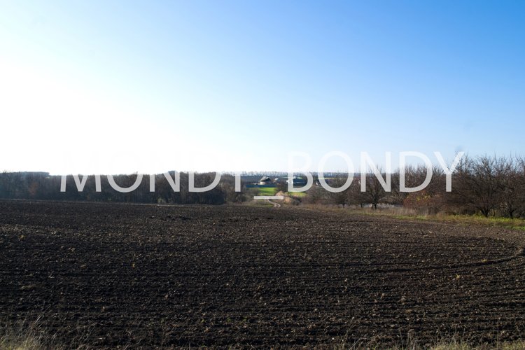 Farm Background Image 12