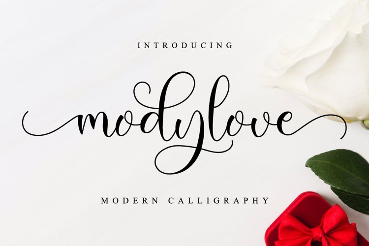 Modylove // Lovely Script Font example image 1